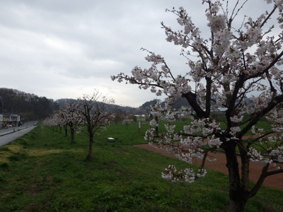 4月20日環境.JPG