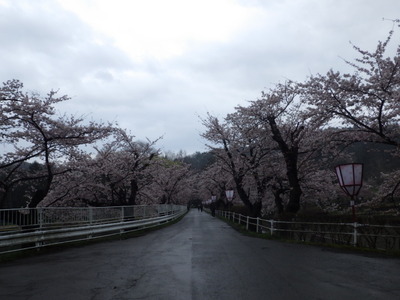 4月20日芝水園.JPG