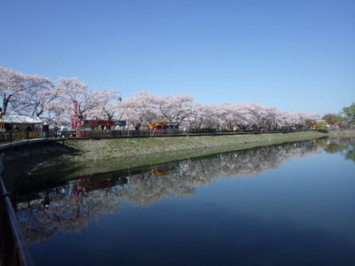 4月24日堰堤.JPG