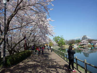 4月24日堰堤客.JPG
