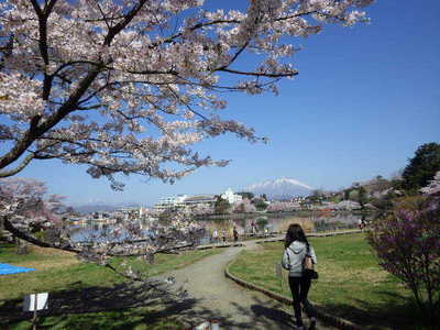 4月24日岩手山.JPG