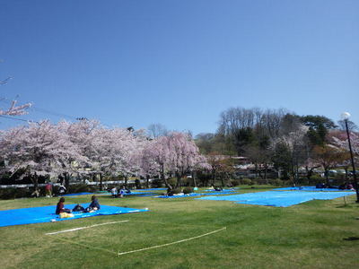4月24日高松亭.JPG