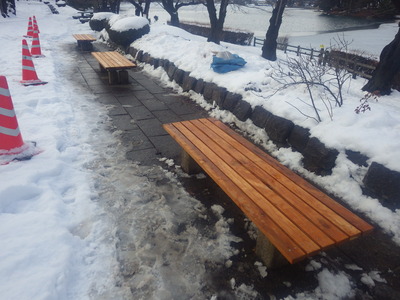 ���� (2).JPG