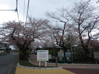 池口7分.JPG